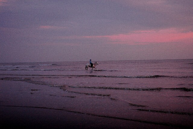 min 2007 11 25 camber plage 070